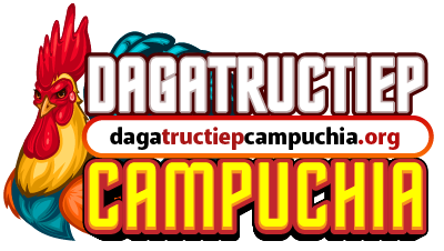 ĐÁ GÀ THOMO TRỰC TIẾP TẠI CAMPUCHIA HÔM NAY